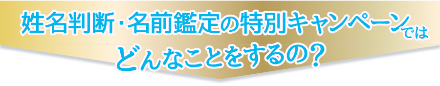 では姓名判断・名前鑑定の特別キャンペーンどんなことをするの？